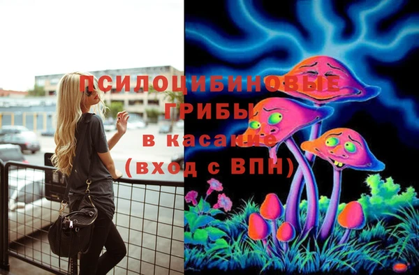 mix Козловка