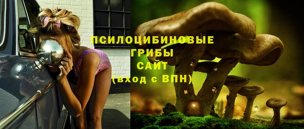 mix Козловка