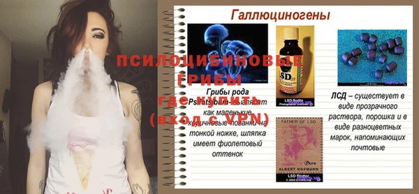 ПСИЛОЦИБИНОВЫЕ ГРИБЫ Кодинск