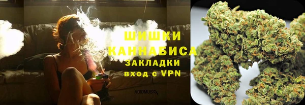 ПСИЛОЦИБИНОВЫЕ ГРИБЫ Кодинск