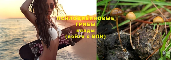 mix Козловка