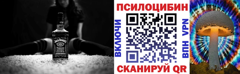 Купить где  Белёв  Галлюциногенные грибы Cubensis 